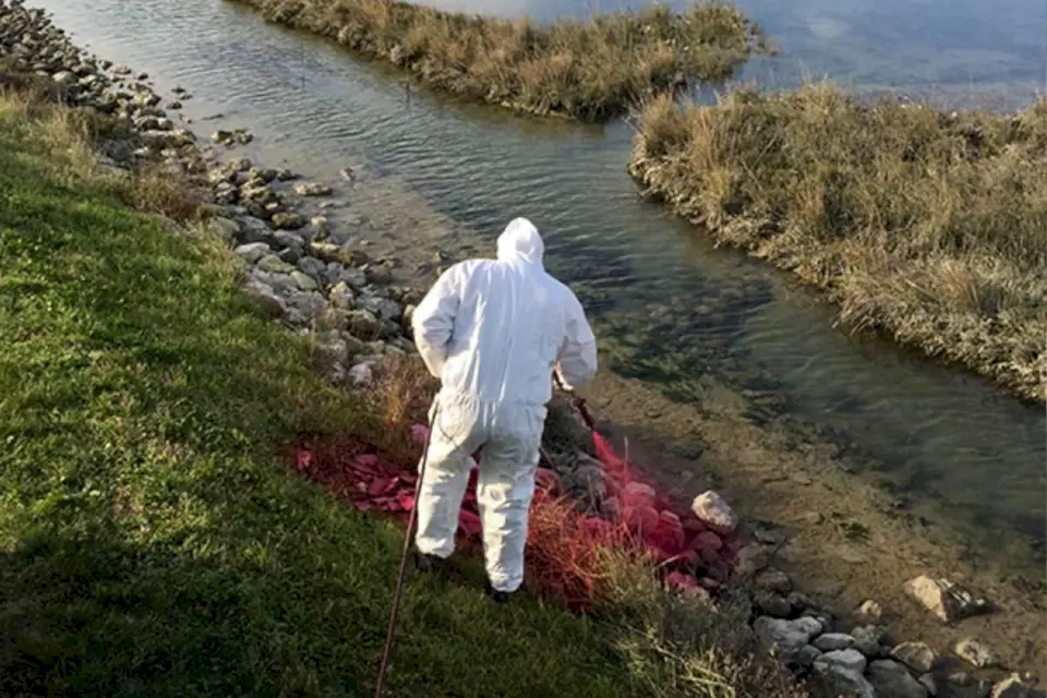 Servizio di pronto intervento ambientale